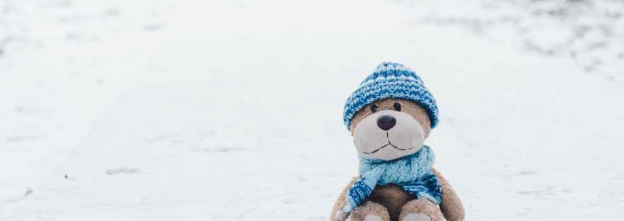stuffed toy on snow
